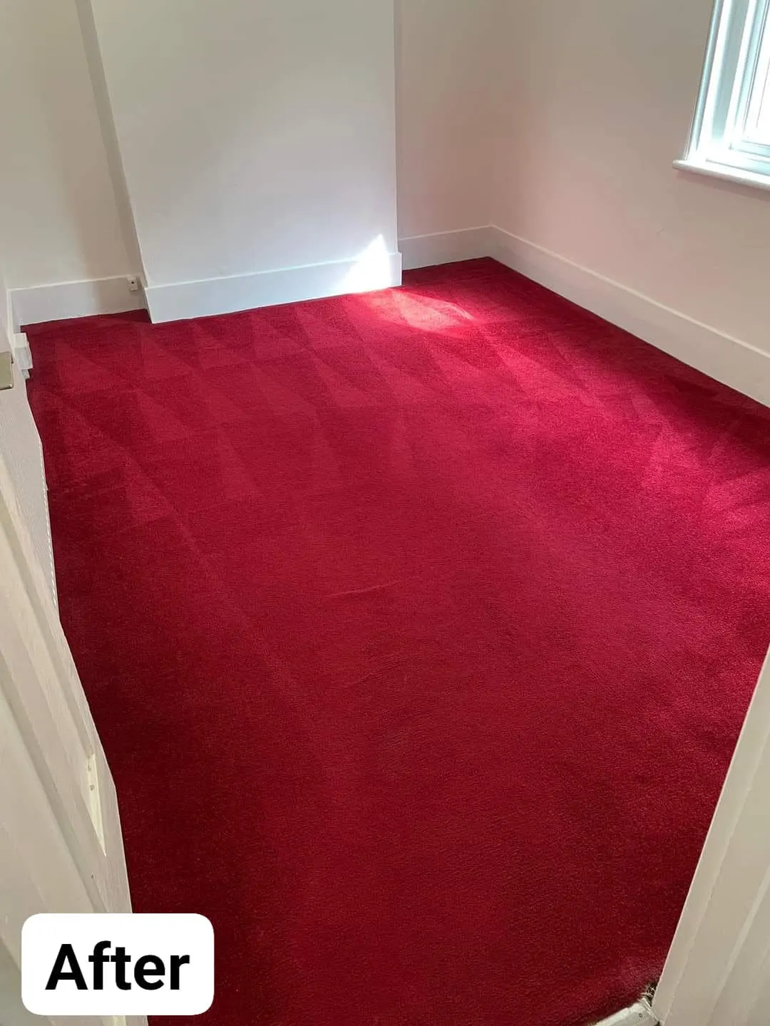 Carpet clean - after